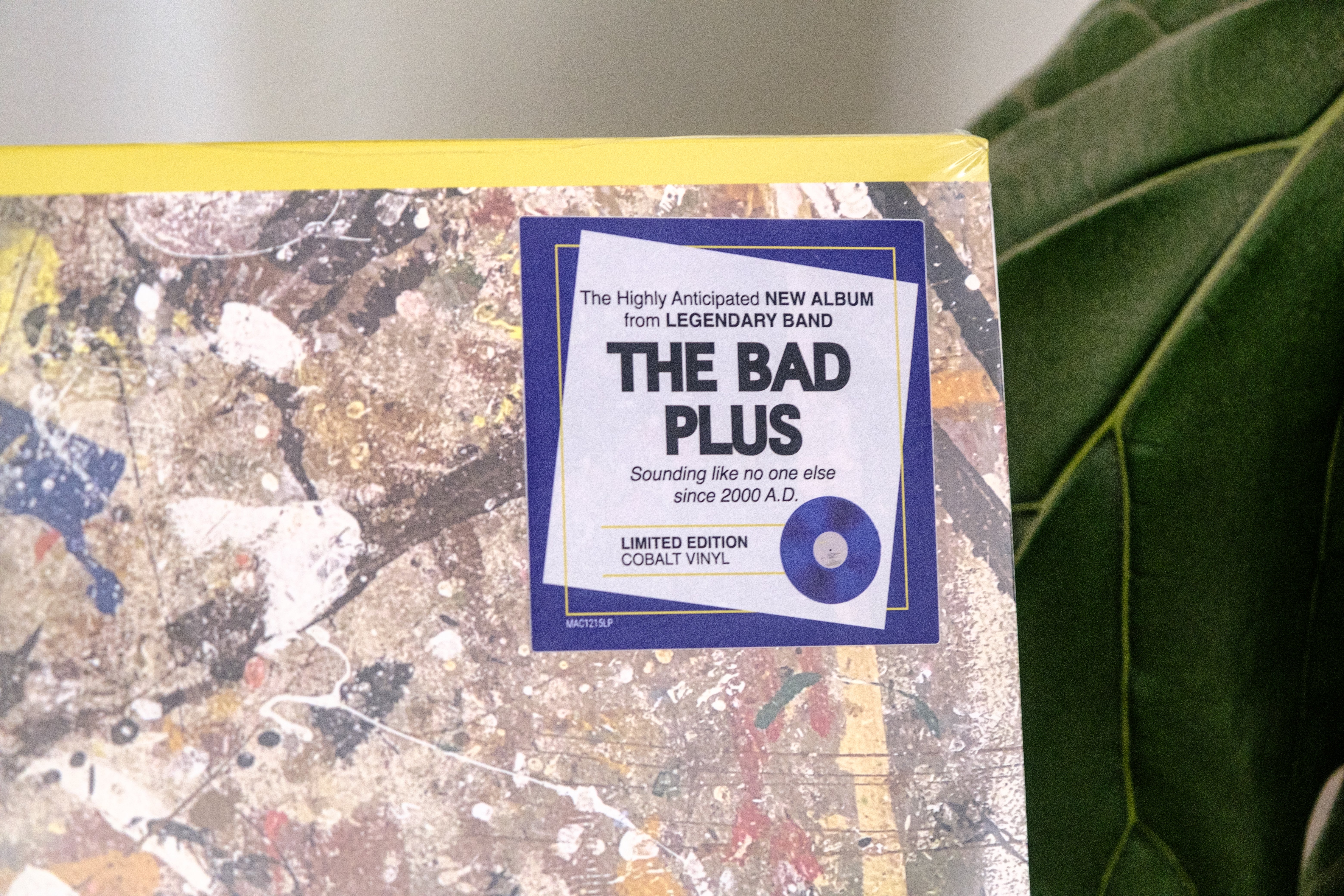 6枚12曲コンプ！BAD BAD EAST&WEST！元気でなによりetc... The Bad Plus - Complex Emotions – Mack Avenue Music Group