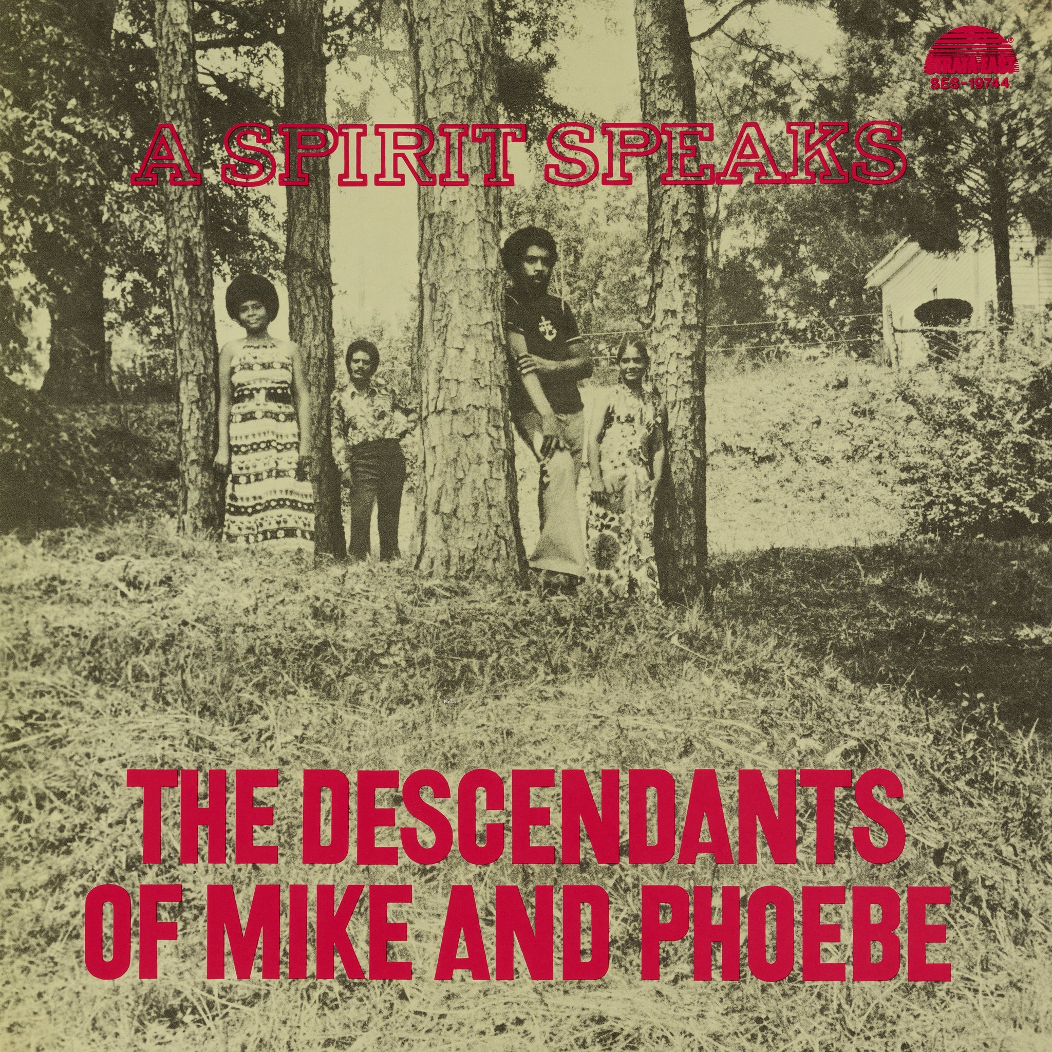 The Descendants of Mike and Phoebe - A Spirit Speaks Album Cover