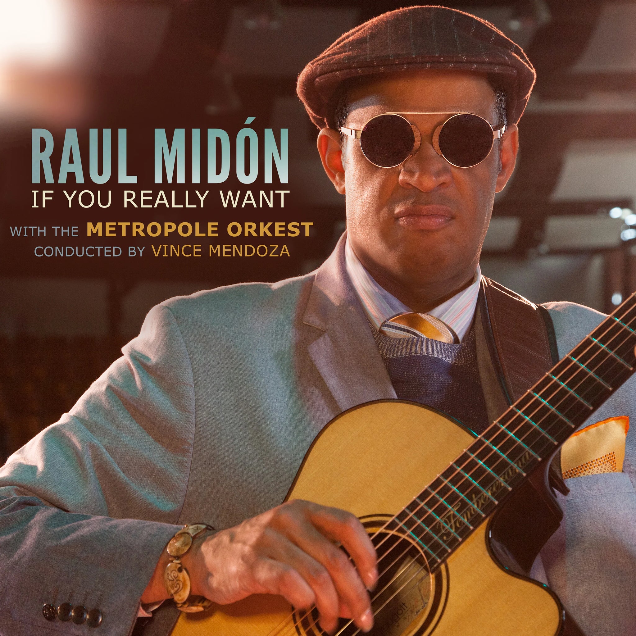 Raul Midón - If You Really Want