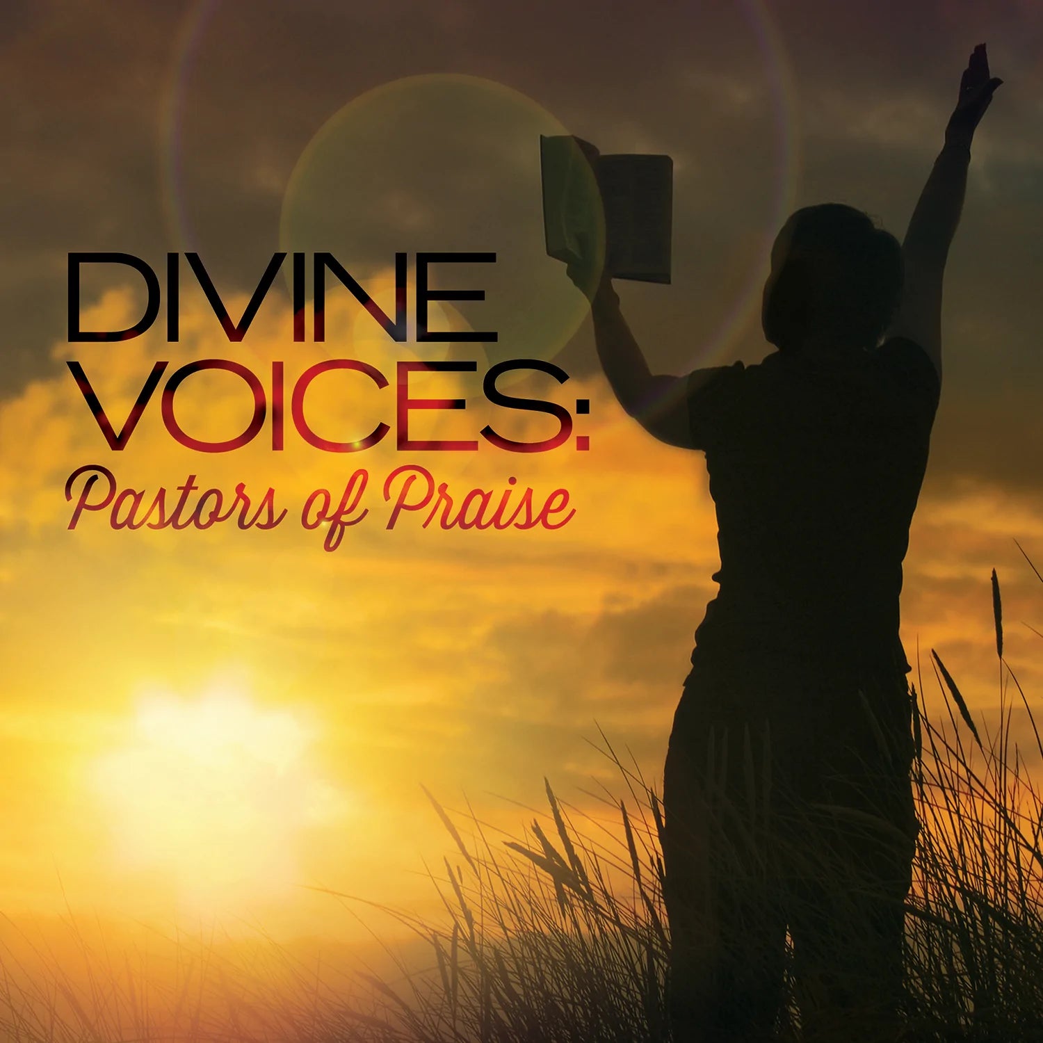 Various - Divine Voices: Pastors of Praise